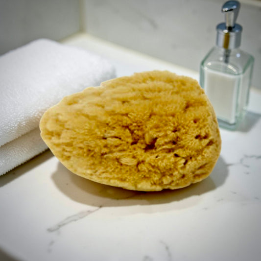 NATURAL DEAD SEA BATH SPONGE